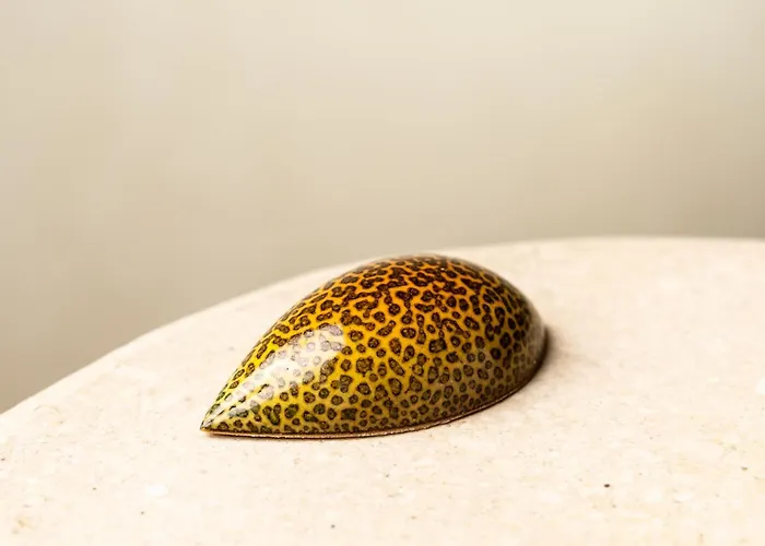 Coolrooms Palacio De 5* Luces