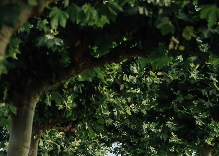 Hotel Coolrooms Palacio De