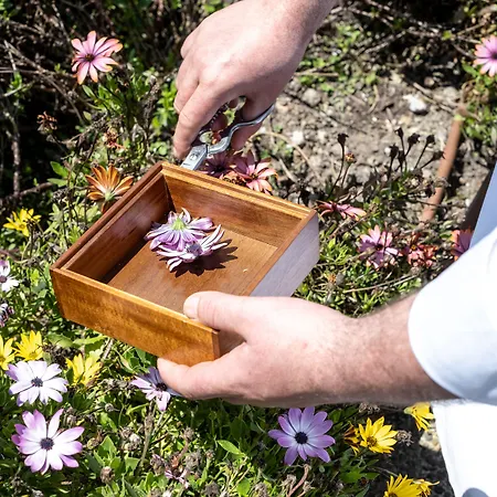 Coolrooms Palacio De Hotel 5*