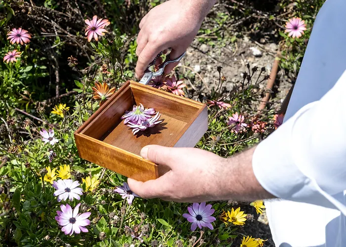 Coolrooms Palacio De Relais&châteaux Hotel 5*